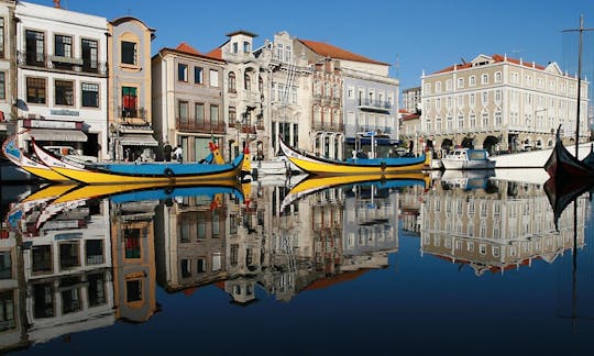 Aveiro half-day tour