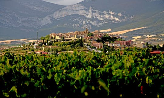 Wijngebied Vitoria en Rioja Volledige dagtour