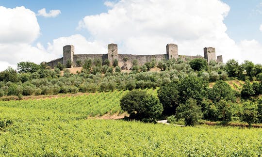 Chianti en kasteeltour vanuit San Gimignano met wijnproeverijen
