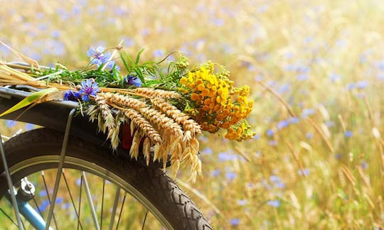 Tour à vélo dans le Chianti à partir de San Gimignano avec déjeuner typique et dégustation de vin