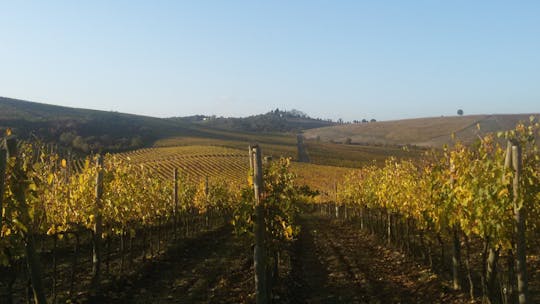 The Chianti wine land tour