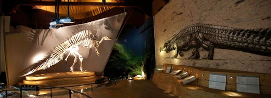 Museum of Natural History of Venice Entrance Tickets