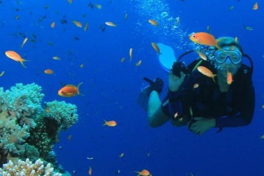 Key West-dagtrip en snorkelavontuur
