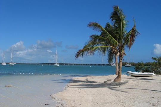 Overnachting in Key West vanuit Miami